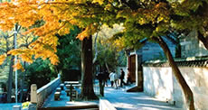 Taiqing Scenic Spot