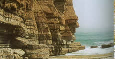 the seaside cliffs