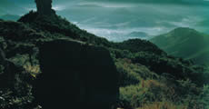 various stones